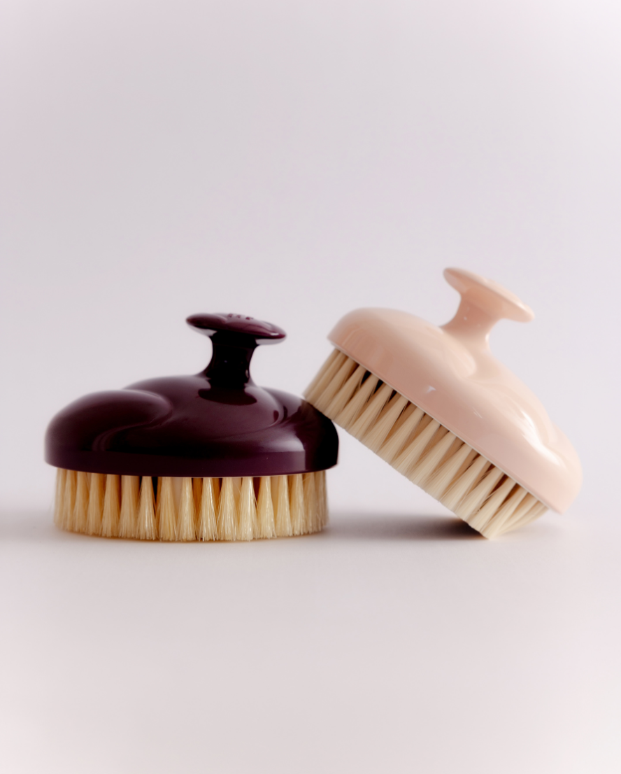 La brosse corps drainante