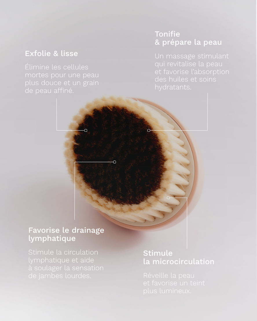La brosse corps drainante